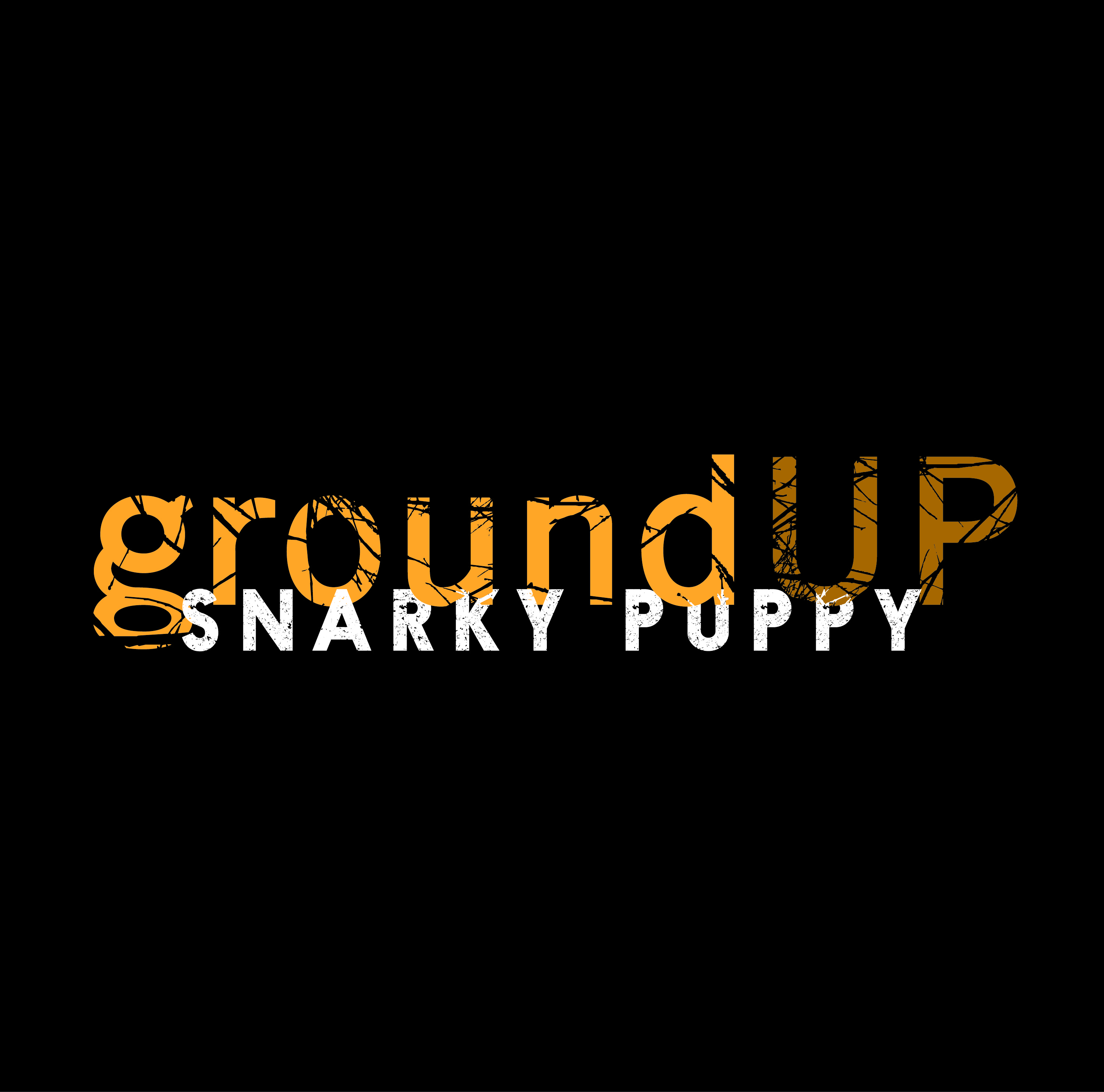 snarky puppy tour europe