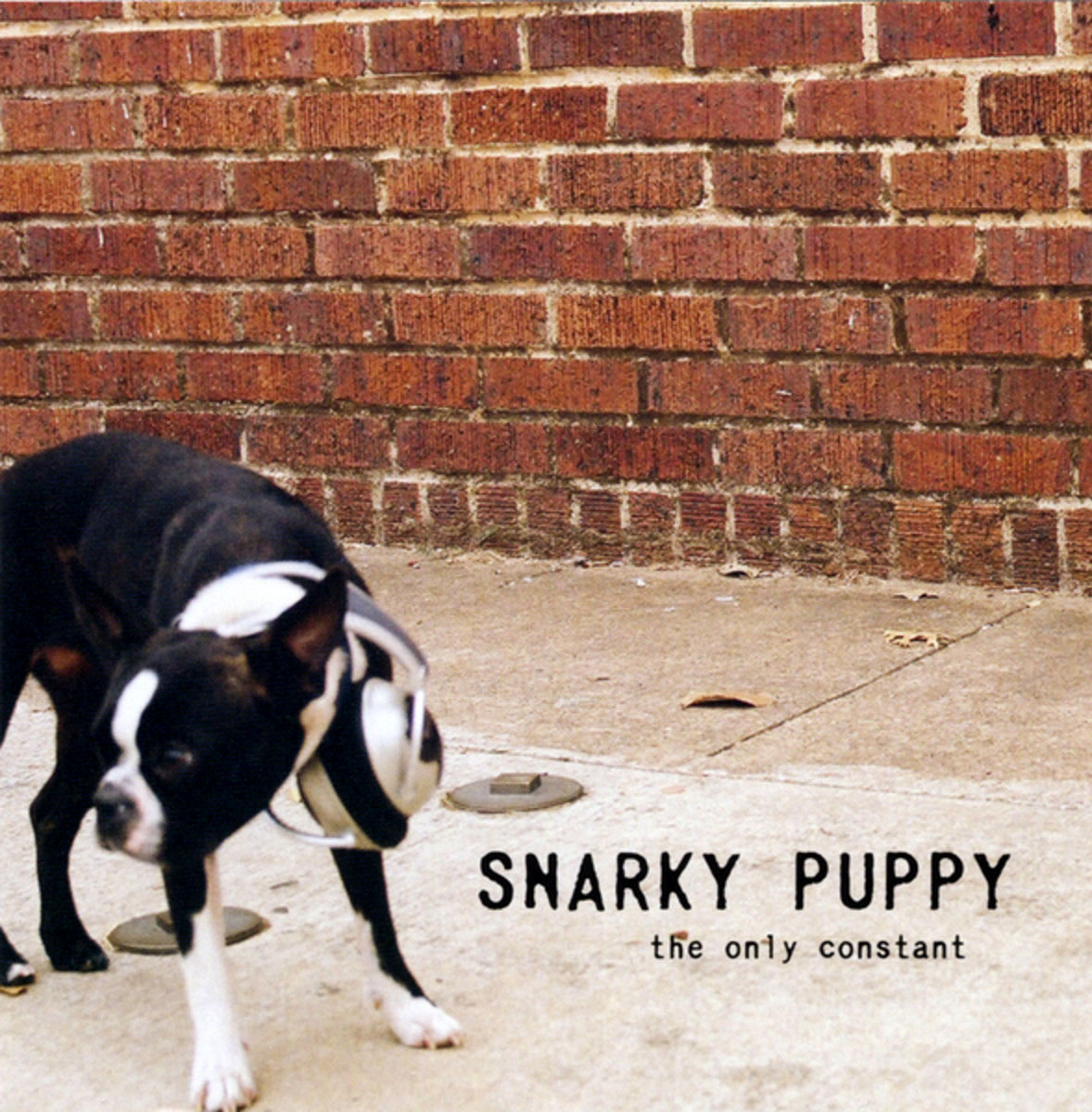 snarky puppy tour europe